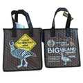 Insulated Lunch Bag