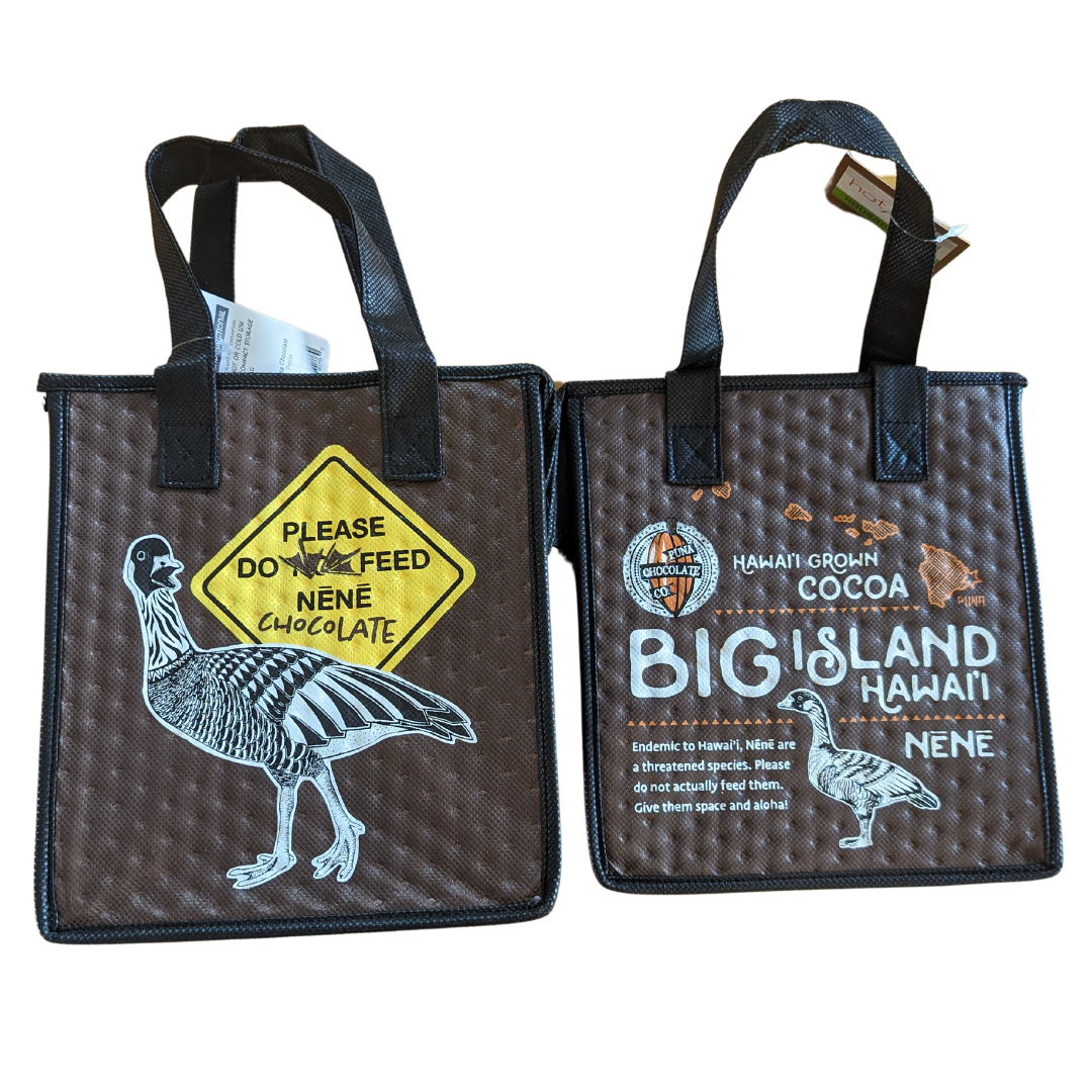 Insulated Lunch Bag