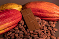 68% Dark Milk Chocolate Bar